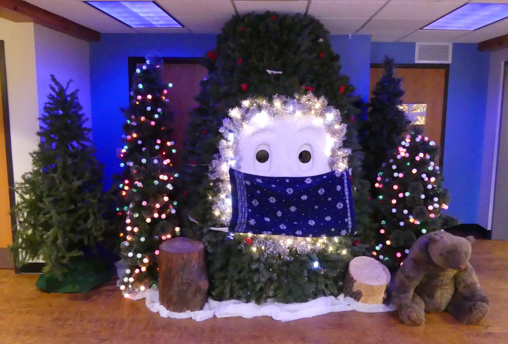 Bruce the Spruce photo